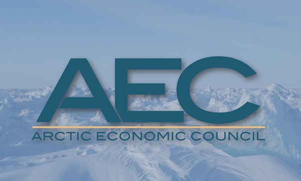 ИнфраВЭБ принял участие в круглом столе «Реализация инфраструктурных проектов в Арктике на основе ГЧП: опыт и перспективы»